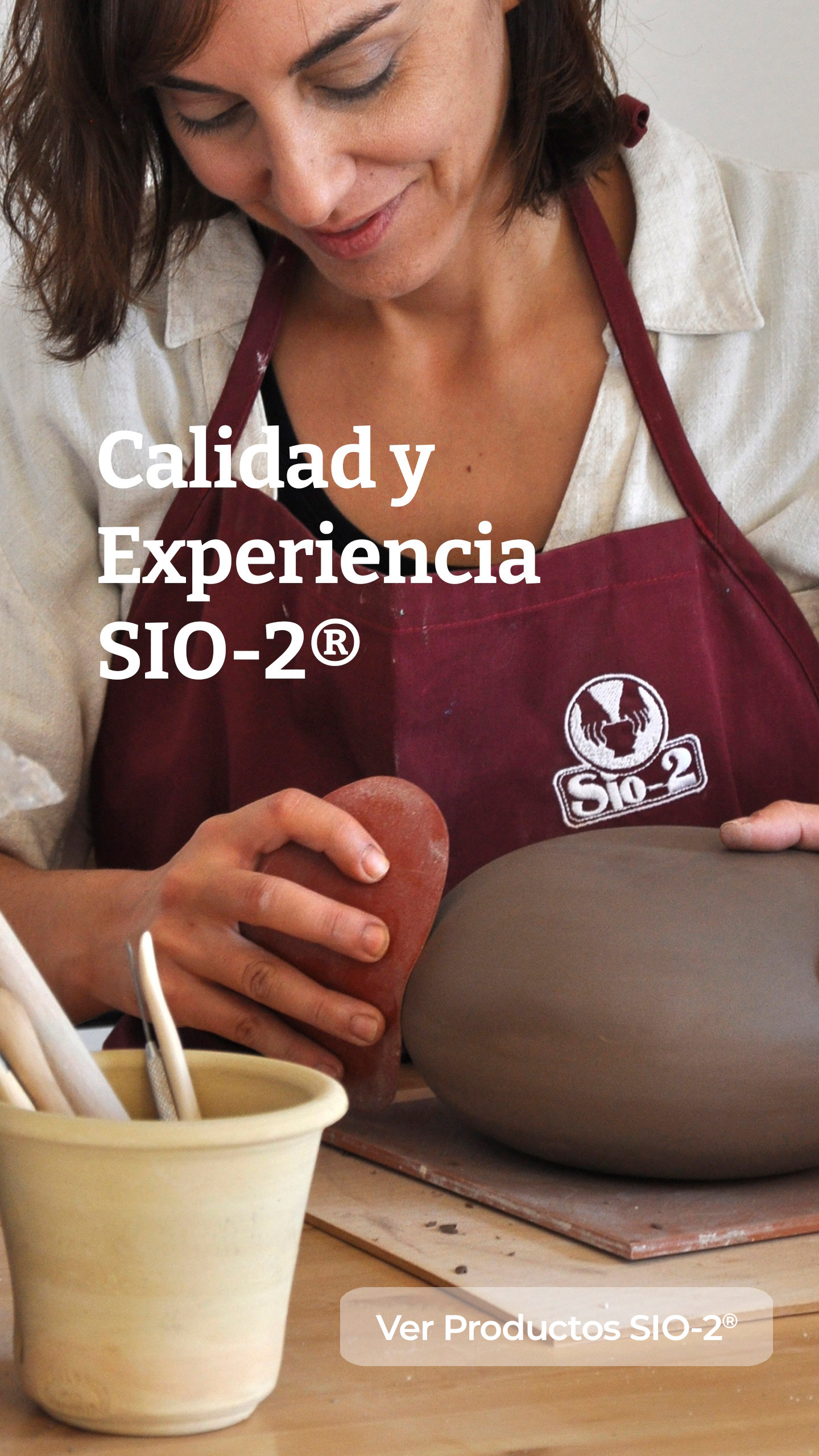 Calidad y Experiencia SIO-2